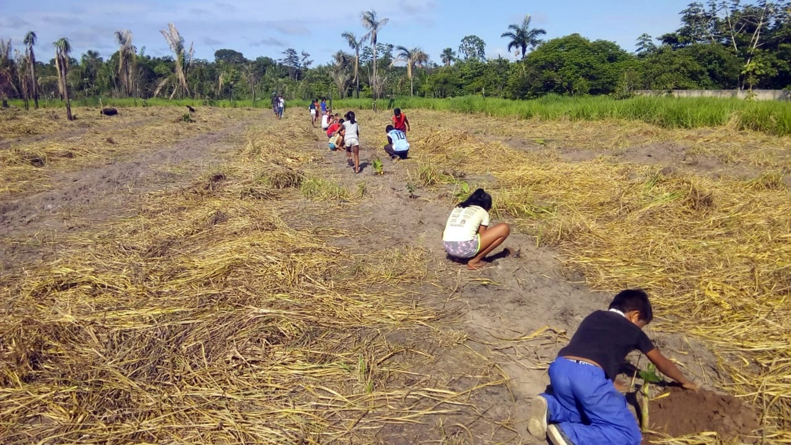 A importância do Estudo do Componente Indígena para o licenciamento ambiental