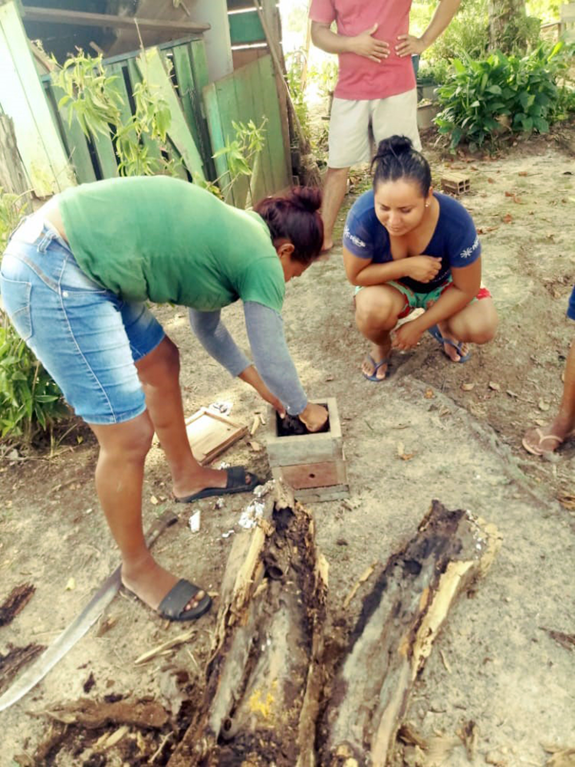 Projeto de extensão de melipolinicultura incentiva práticas agroflorestais em comunidade Mura, em Autazes (AM)