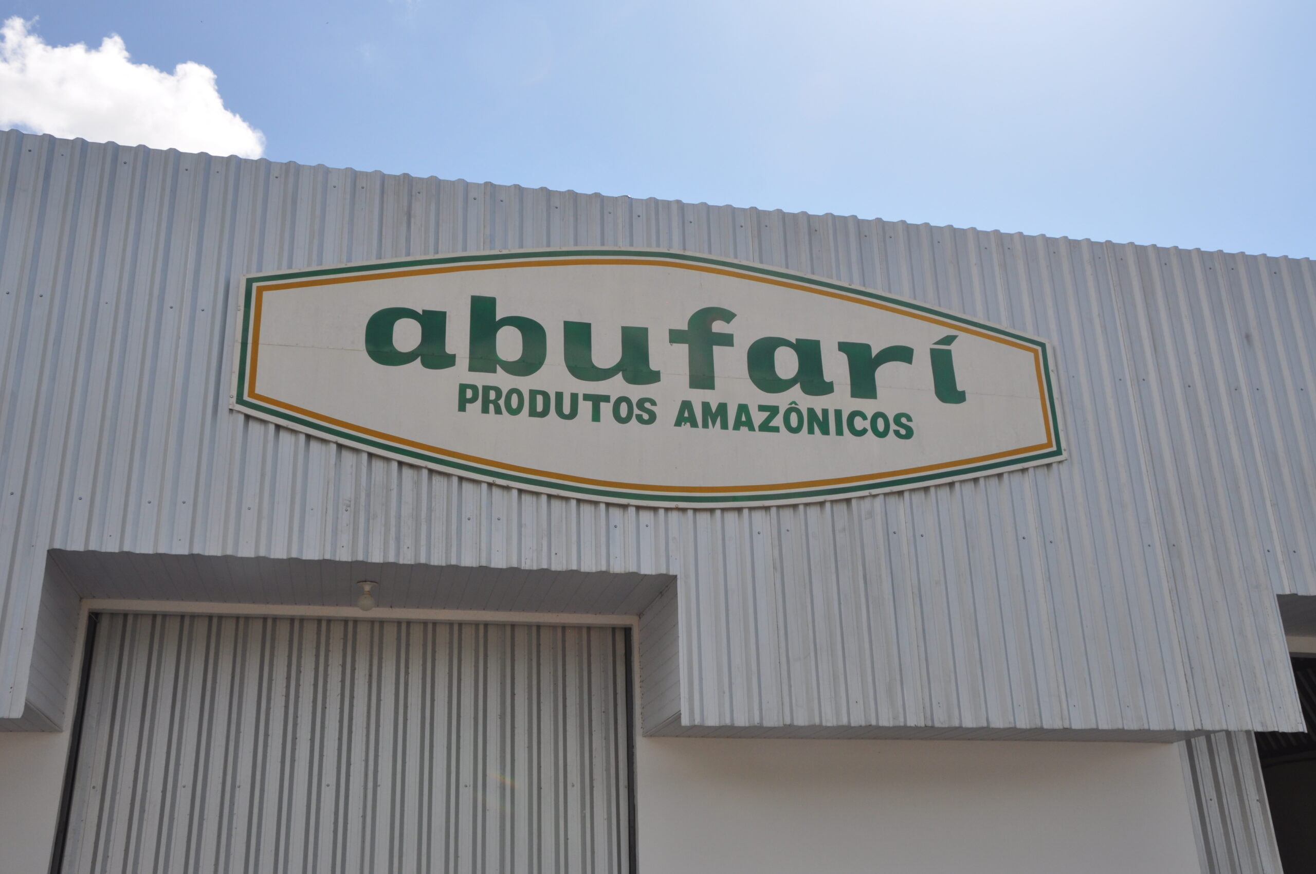 Produção de castanhas-da-amazônia é alternativa sustentável para geração de renda em Tapauá