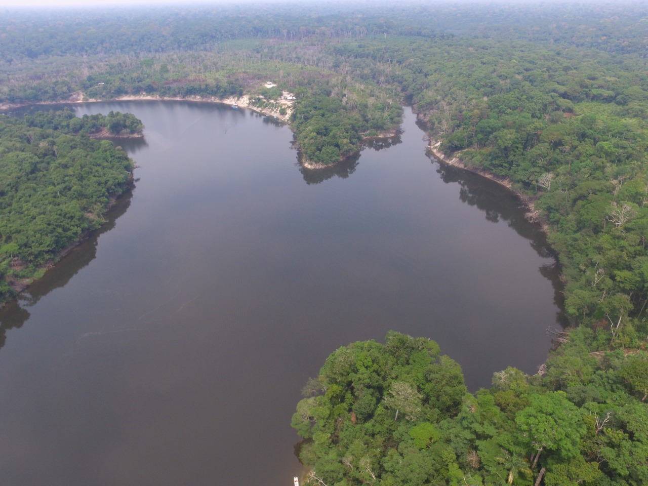 Criação da RDS Rio Manicoré é fundamental para combater invasões e exploração ilegal de madeira no interior do Amazonas