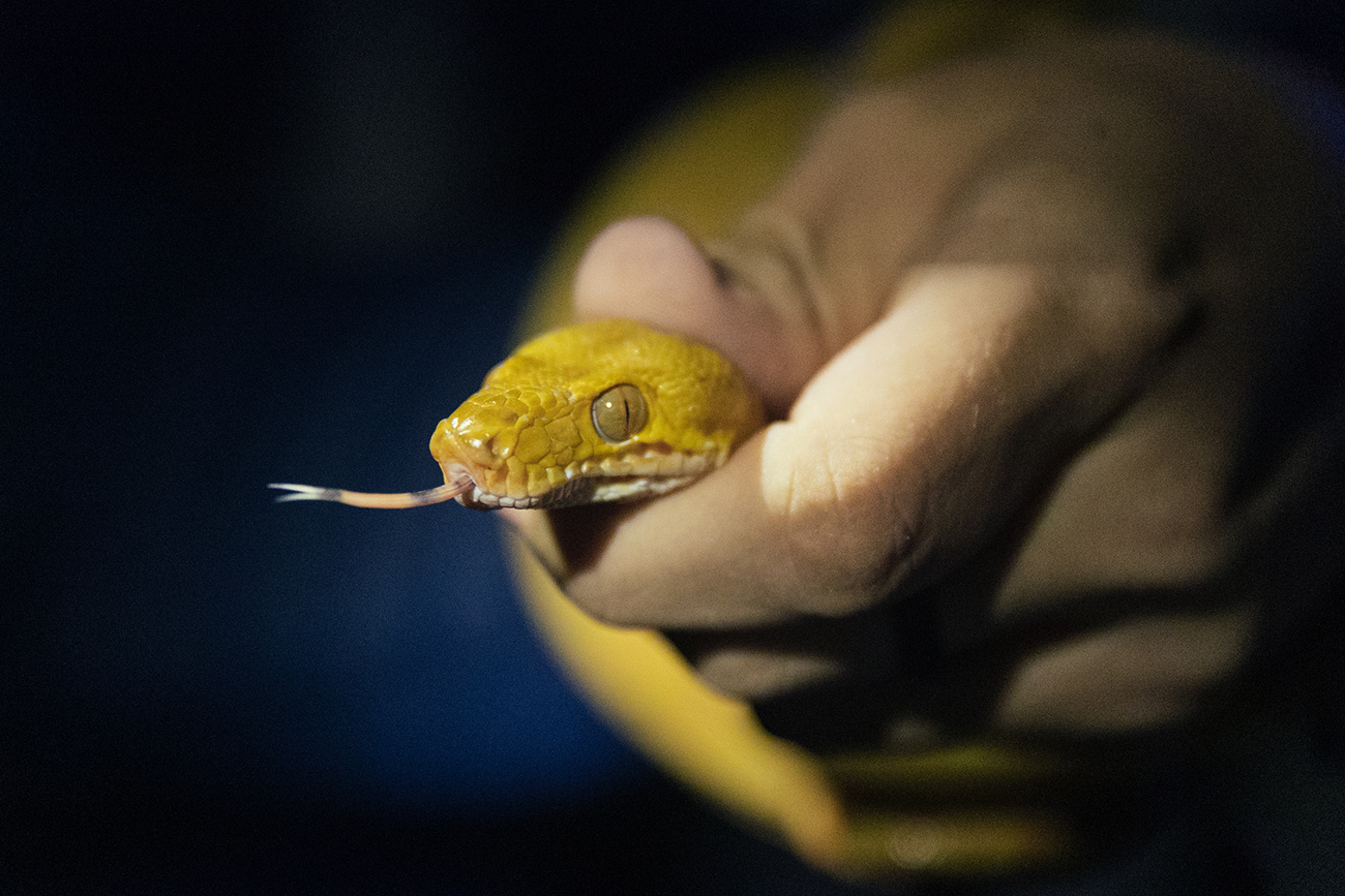 Ciência e biodiversidade pela soberania e preservação das comunidades do rio Manicoré