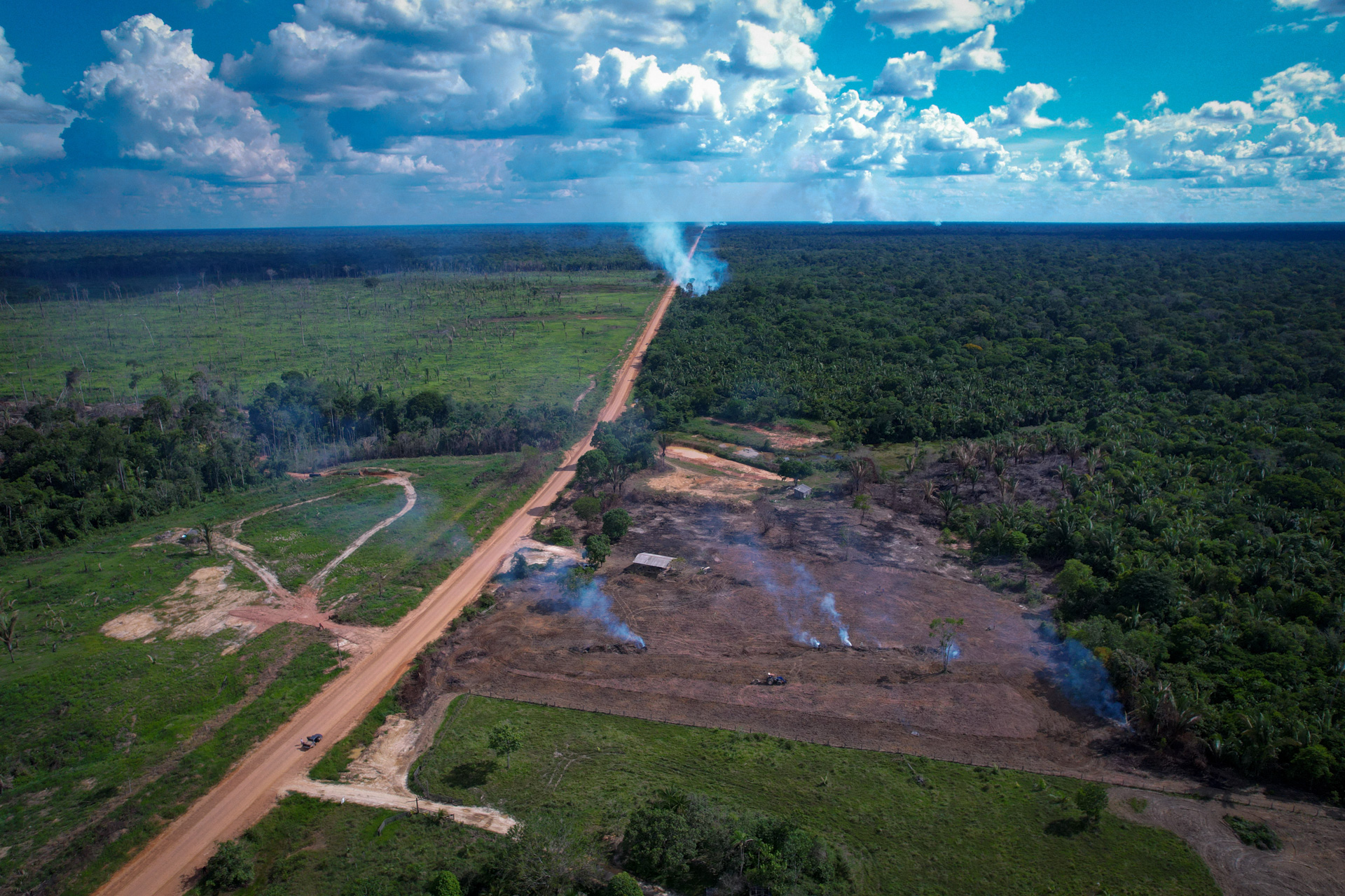Avanço desenfreado da devastação da floresta é destaque do Momento Observatório BR-319