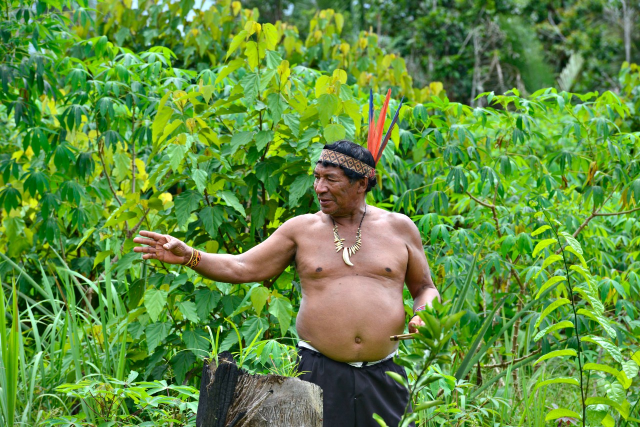 Em Lábrea, povo Apurinã mantém a floresta em pé em meio ao desmatamento 