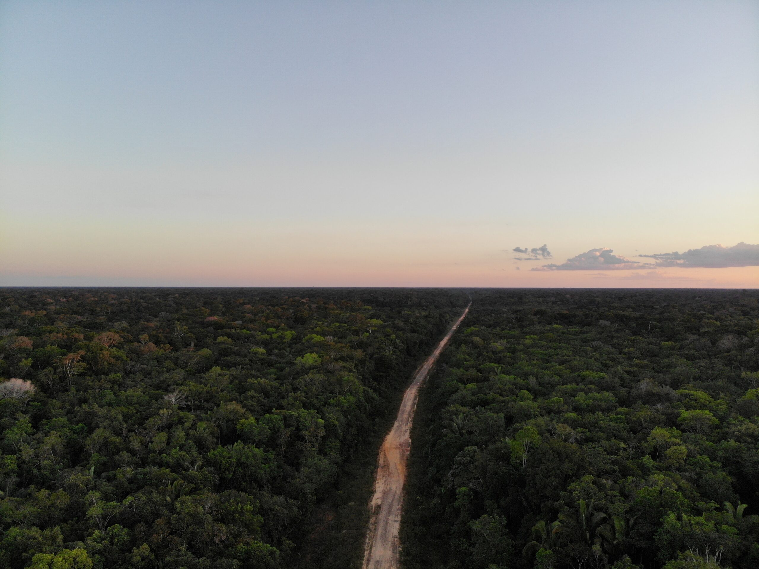 Ibama libera Licença Prévia para Trecho do Meio sem consulta aos povos da floresta