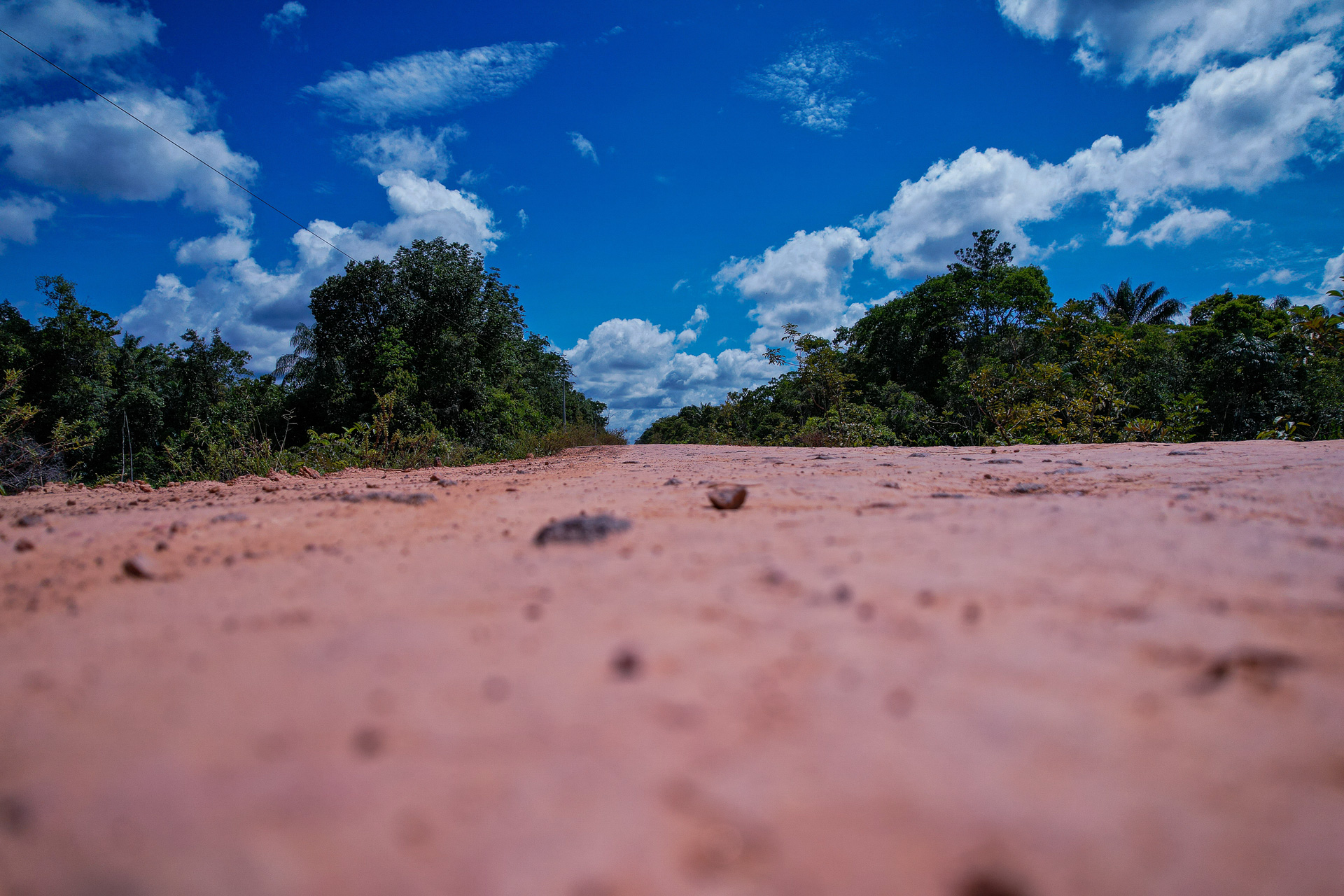 Observatório BR-319 publica nota de posicionamento sobre Licença Prévia sem consulta aos povos da floresta
