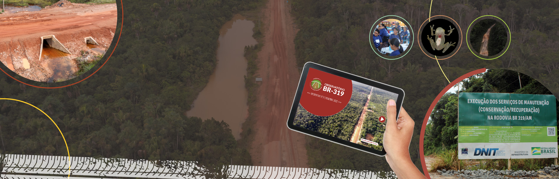 Informativo nº37 Novembro/2022