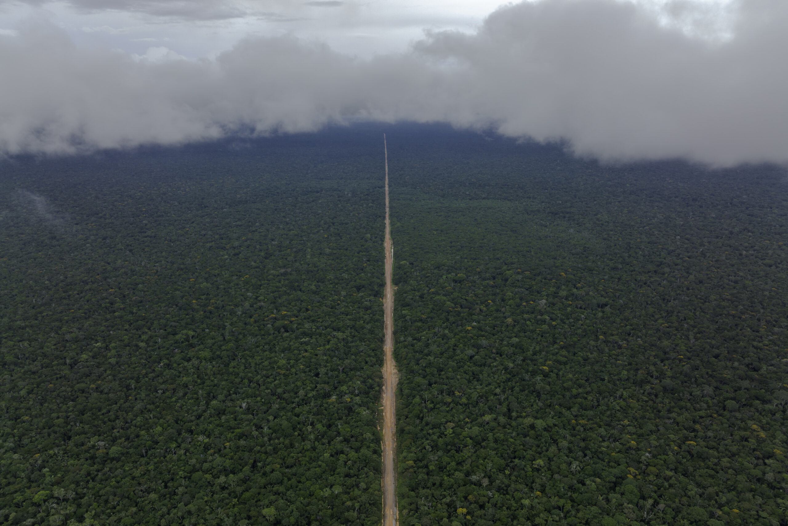 Observatório BR-319 lança novo mapa interativo com mais dados sobre a área de influência da rodovia BR-319