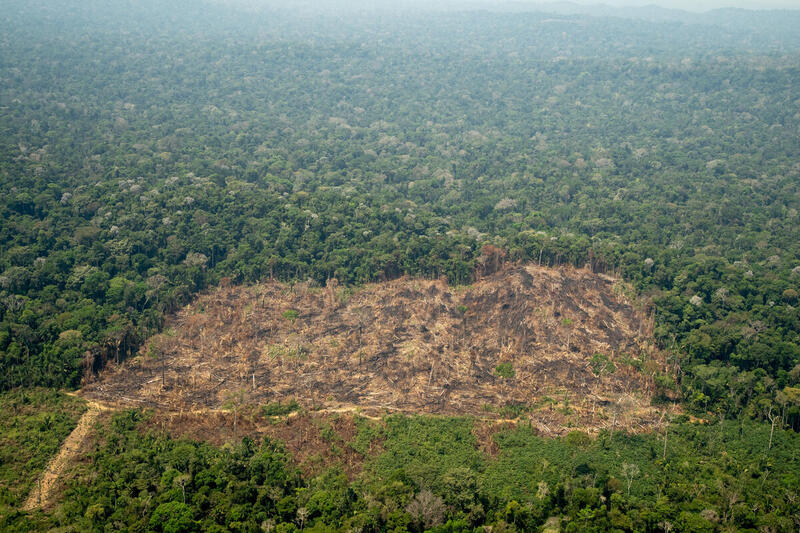 Povo Karipuna sob ameaça: Segunda Resex mais desmatada da Amazônia é risco à vida de povos indígenas