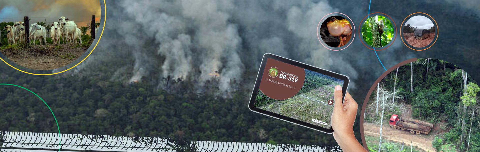 Informativo nº40 Fevereiro/2023