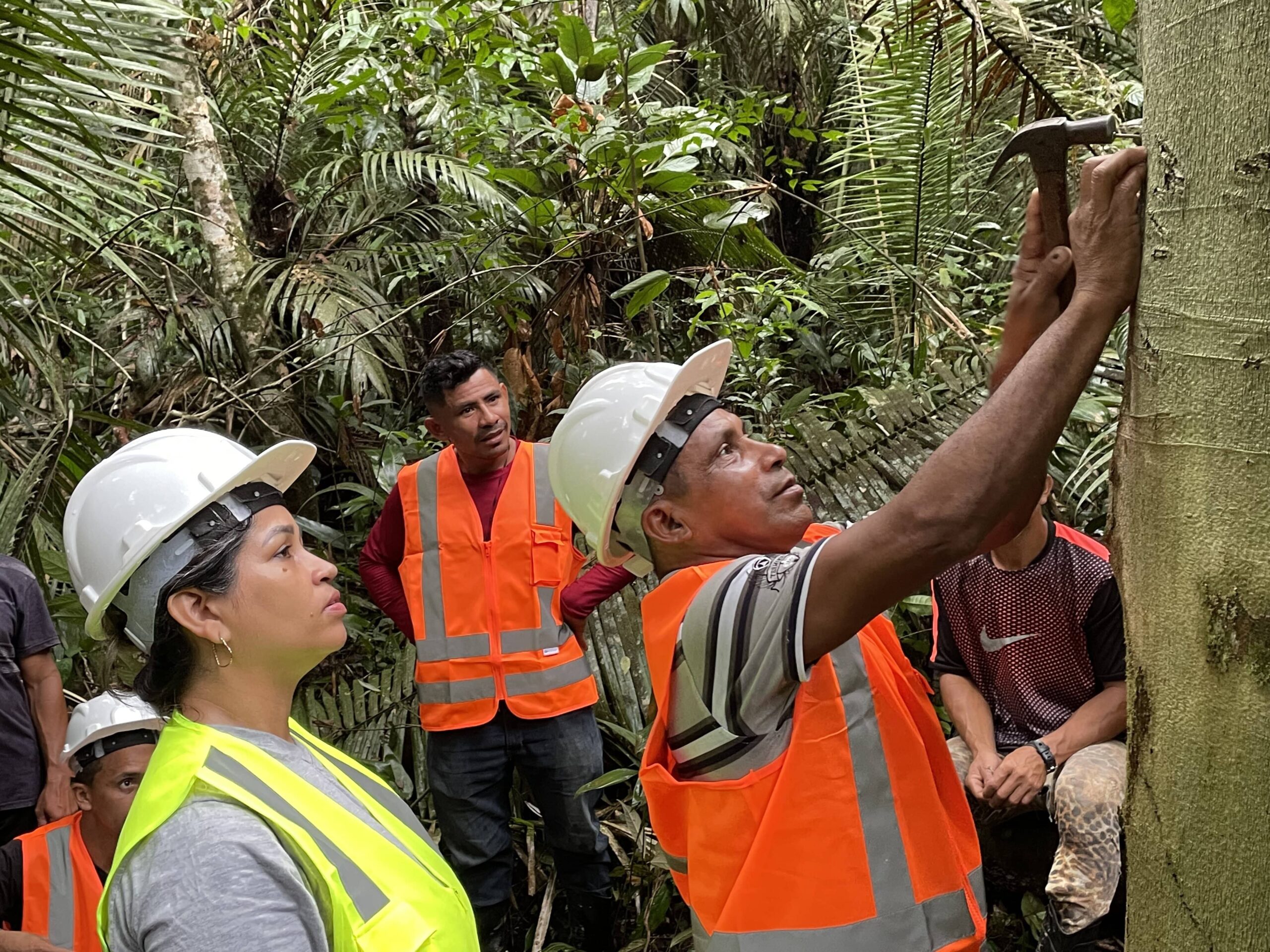 Governança socioambiental para o fortalecimento do protagonismo de extrativistas e indígenas em Tapauá, no sul do Amazonas 