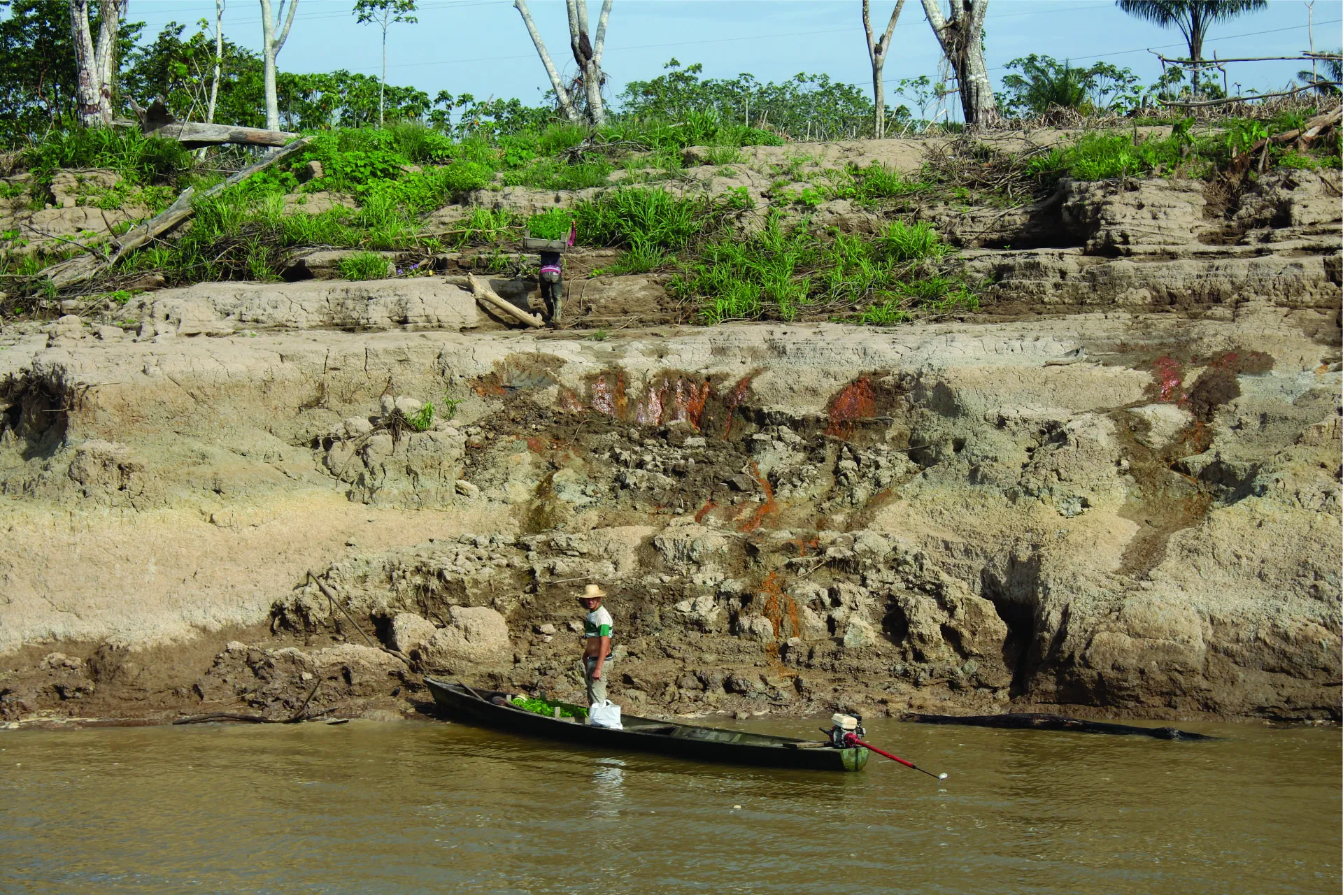 Impactos das mudanças climáticas globais sobre a fauna aquática na Amazônia 