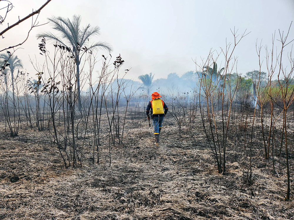 Área de influência da BR-319 registra queda de desmatamento e focos de calor em 2023