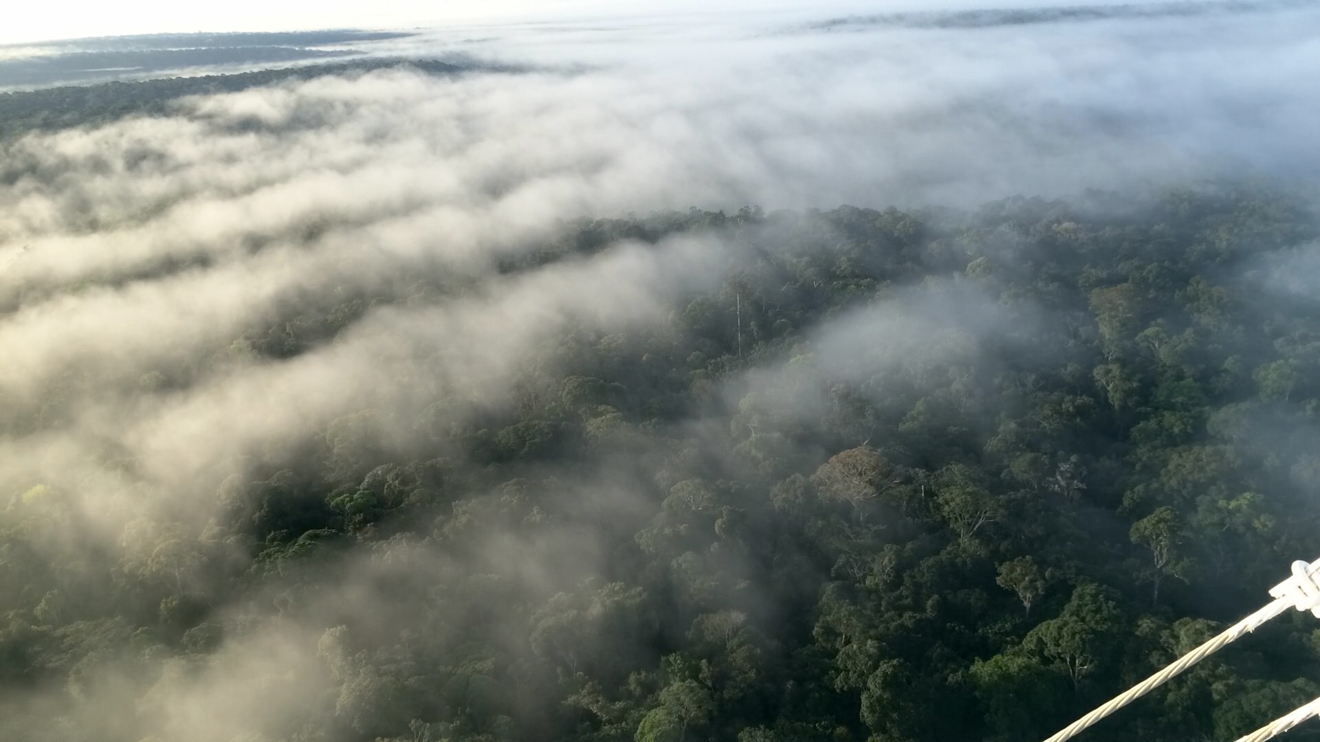Os rios voadores e a disponibilidade de sal na Amazônia