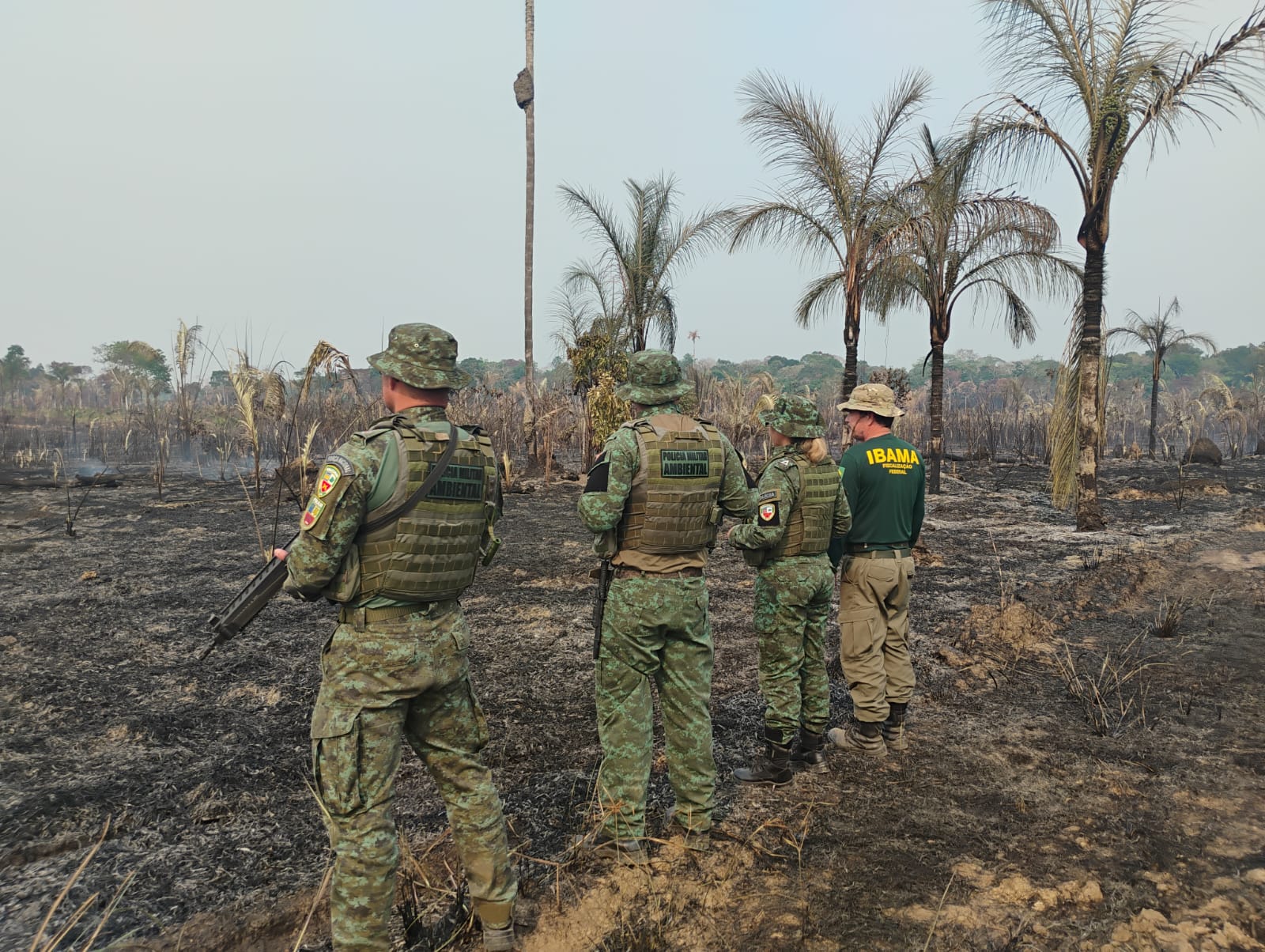 Ibama combate desmatamento e queimadas ilegais em municípios na área de influência da BR-319 no Amazonas